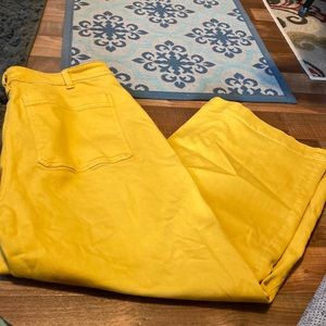 Everlane Women's High Rise Jeans in Yellow